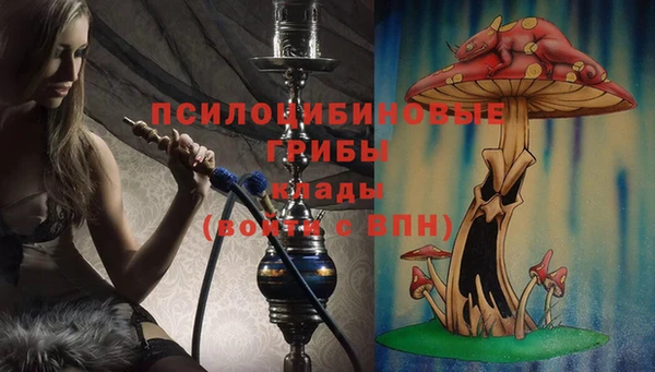 таблы Приозерск