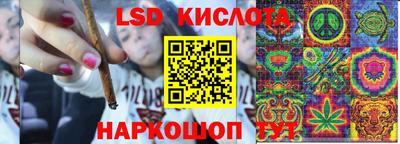 индика Абинск