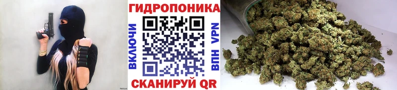 Шишки марихуана индика  Алейск 