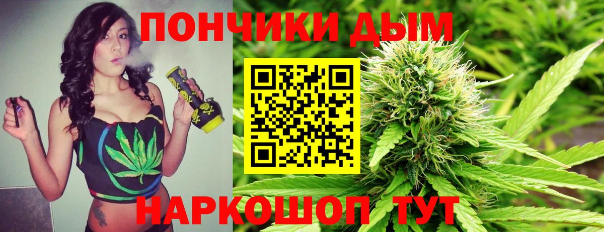 Каннабис конопля Алейск